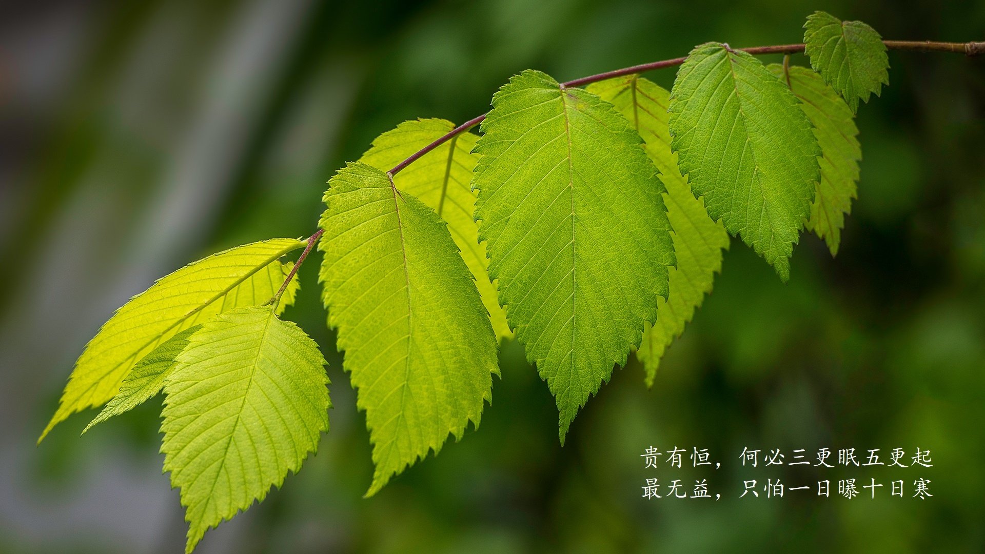 国足备战国际大赛，攻防两端均衡发展，国足出战