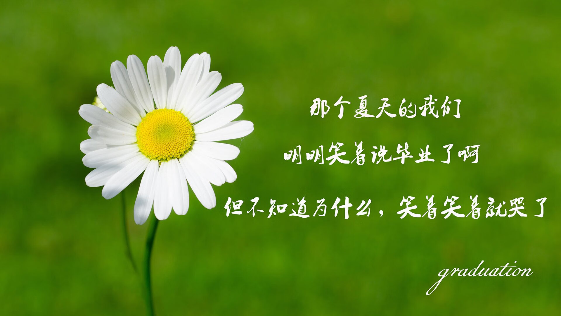 kaiyun体育app-NBA联盟跨季转会制度对球队稳定性的影响，新赛季nba转会