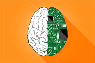 开云网页版-体育新闻中心主办体育文化数字创新成果展示会，体育 数字化