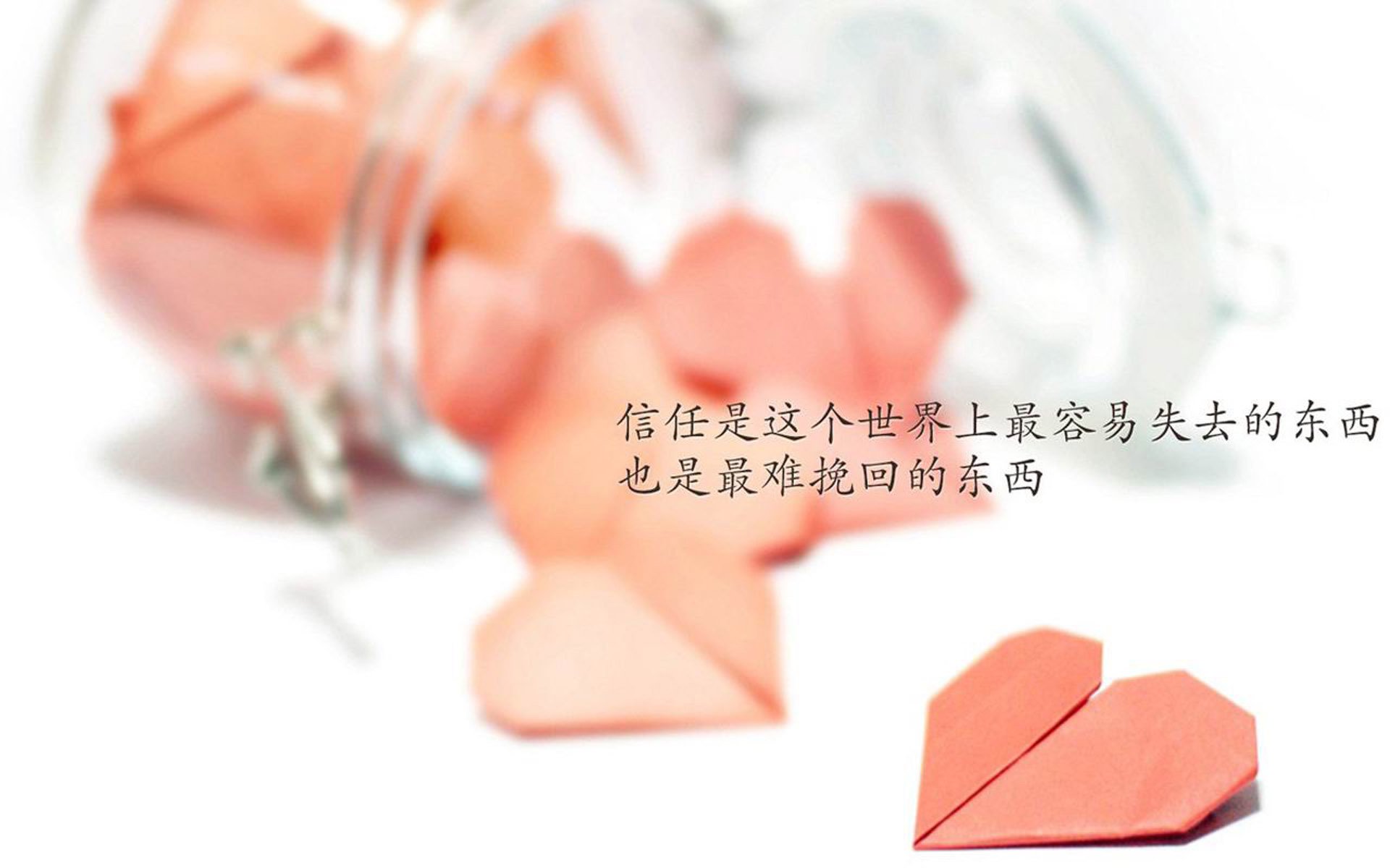 开云入口-球队青训成果展示赛吸睛，未来国手初露锋芒，2020青训队