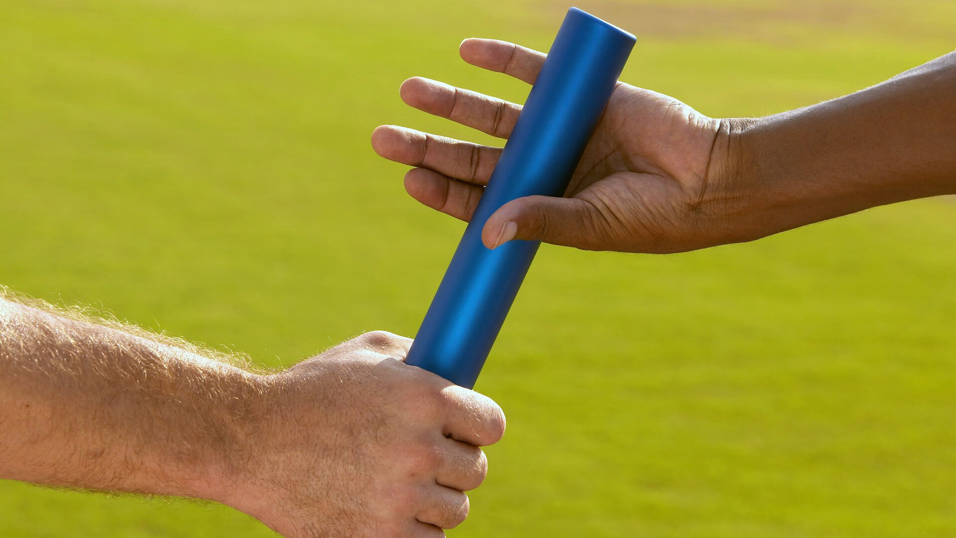 -巴西马术协会与阿根廷马术协会合作，举办国际马术友谊赛。，阿根廷马球马